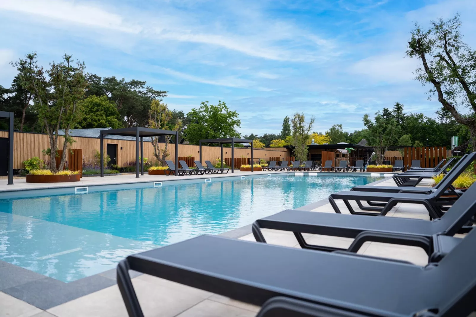 Vakantiepark Molenvelden 11-Schwimmbad