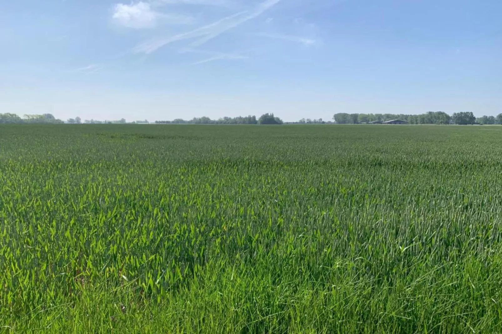 DEN OEVER VI 103-Zones été à 20 km