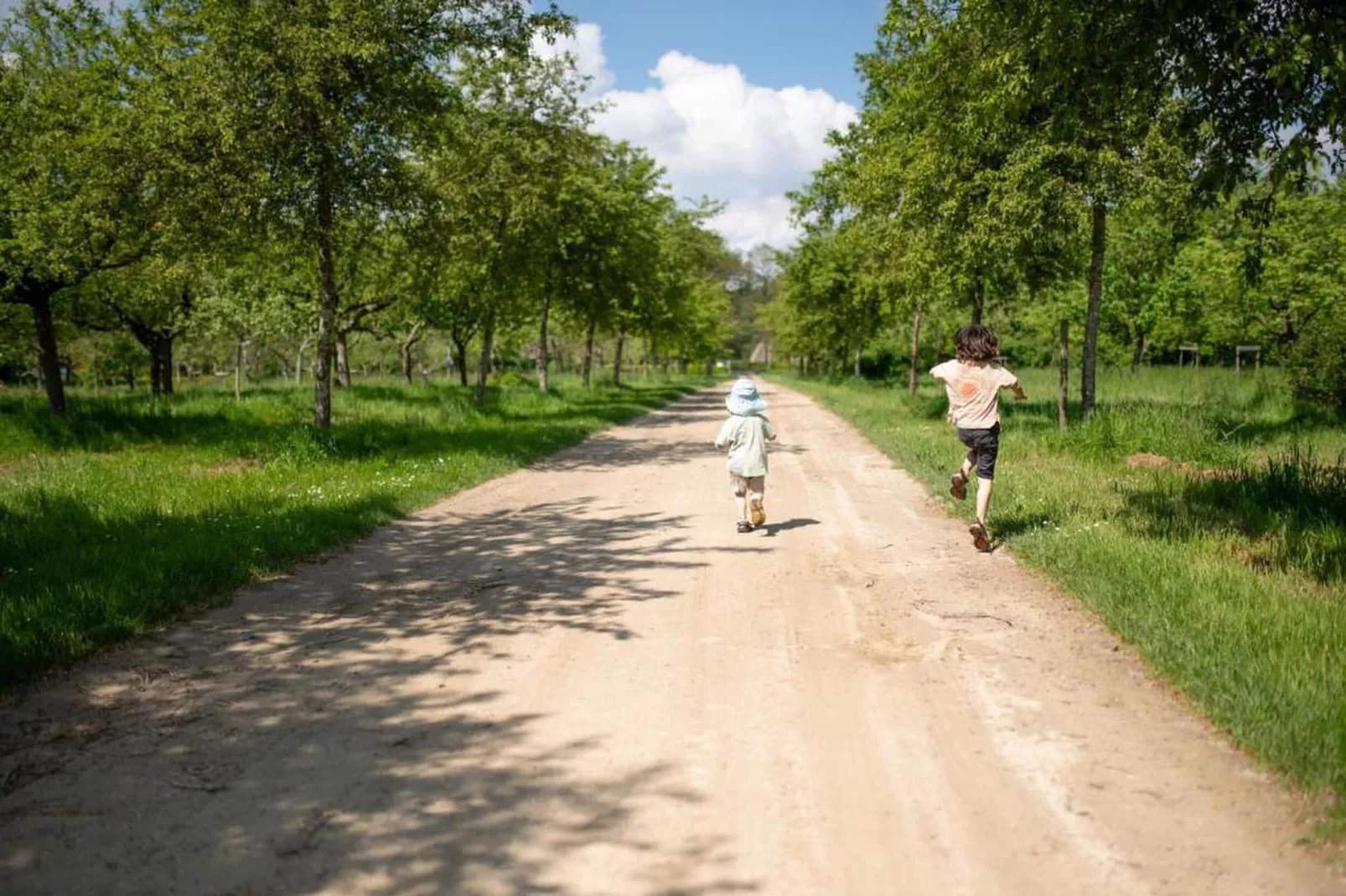 't Landgoed Baars 3-Zones été à 20 km