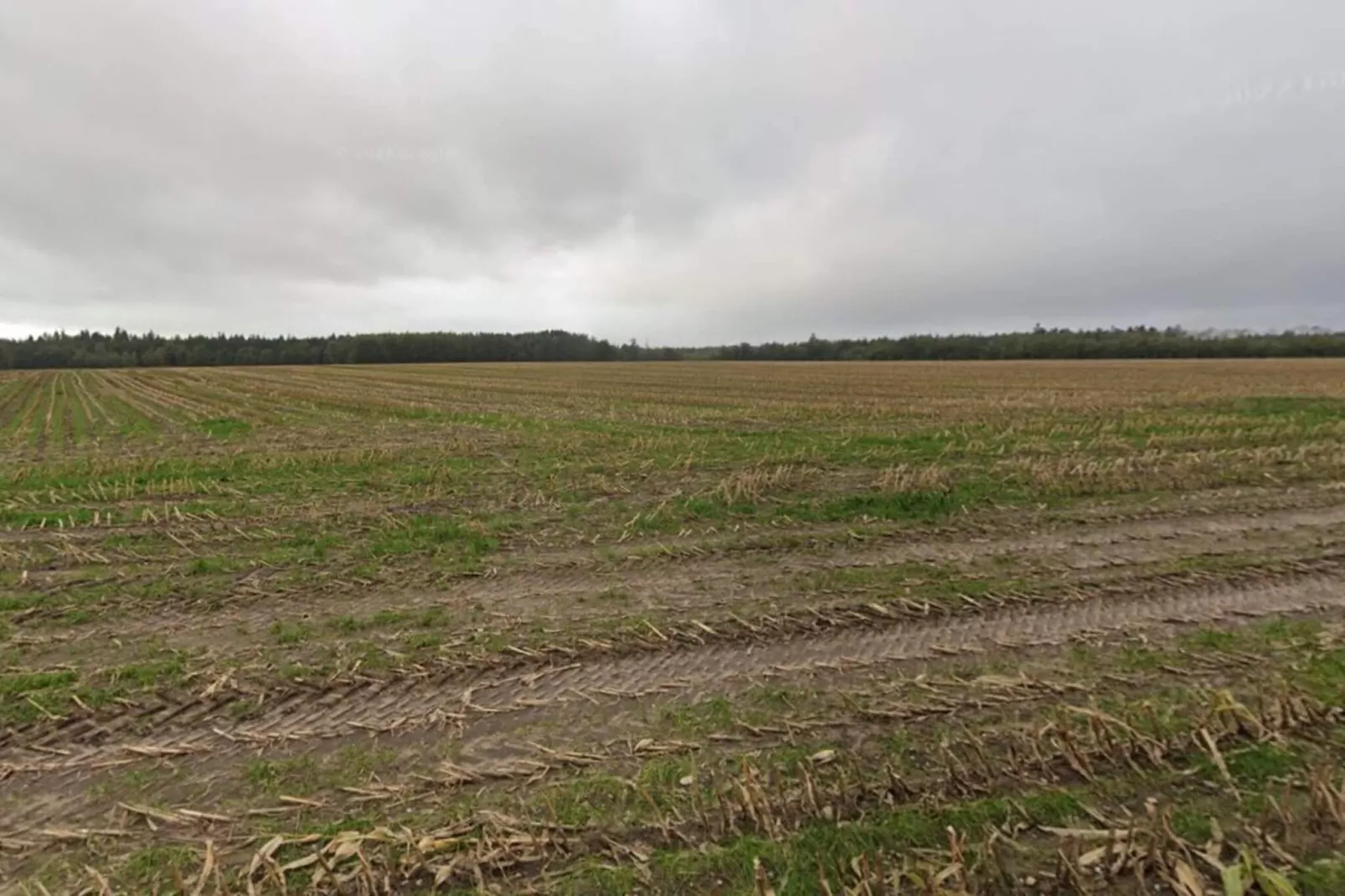 5 Sterne Ferienhaus in Hovborg-By Traum-Nicht getaggt