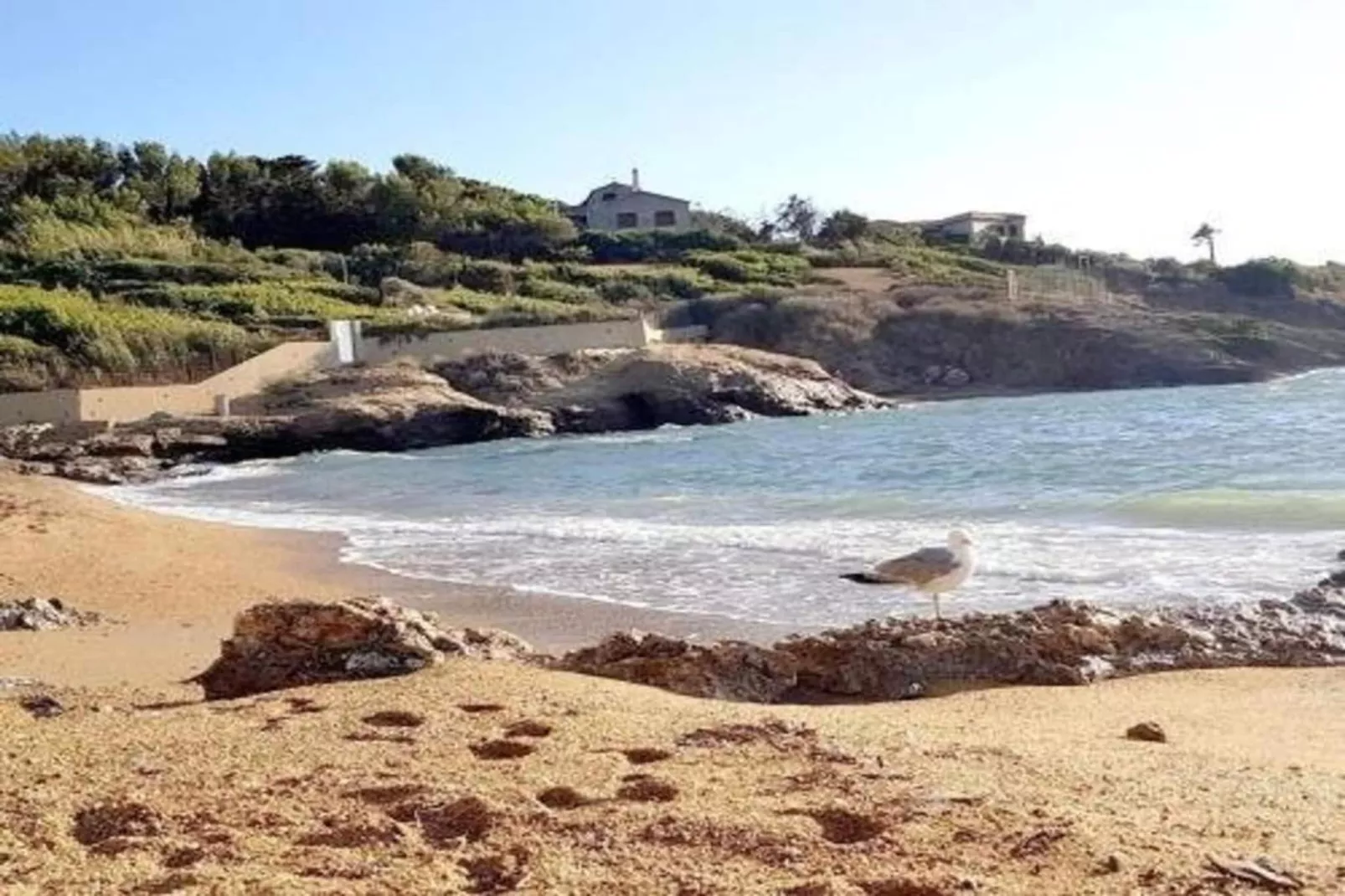 Les Terrasses des Embiez 2-Areas within 20km in summer