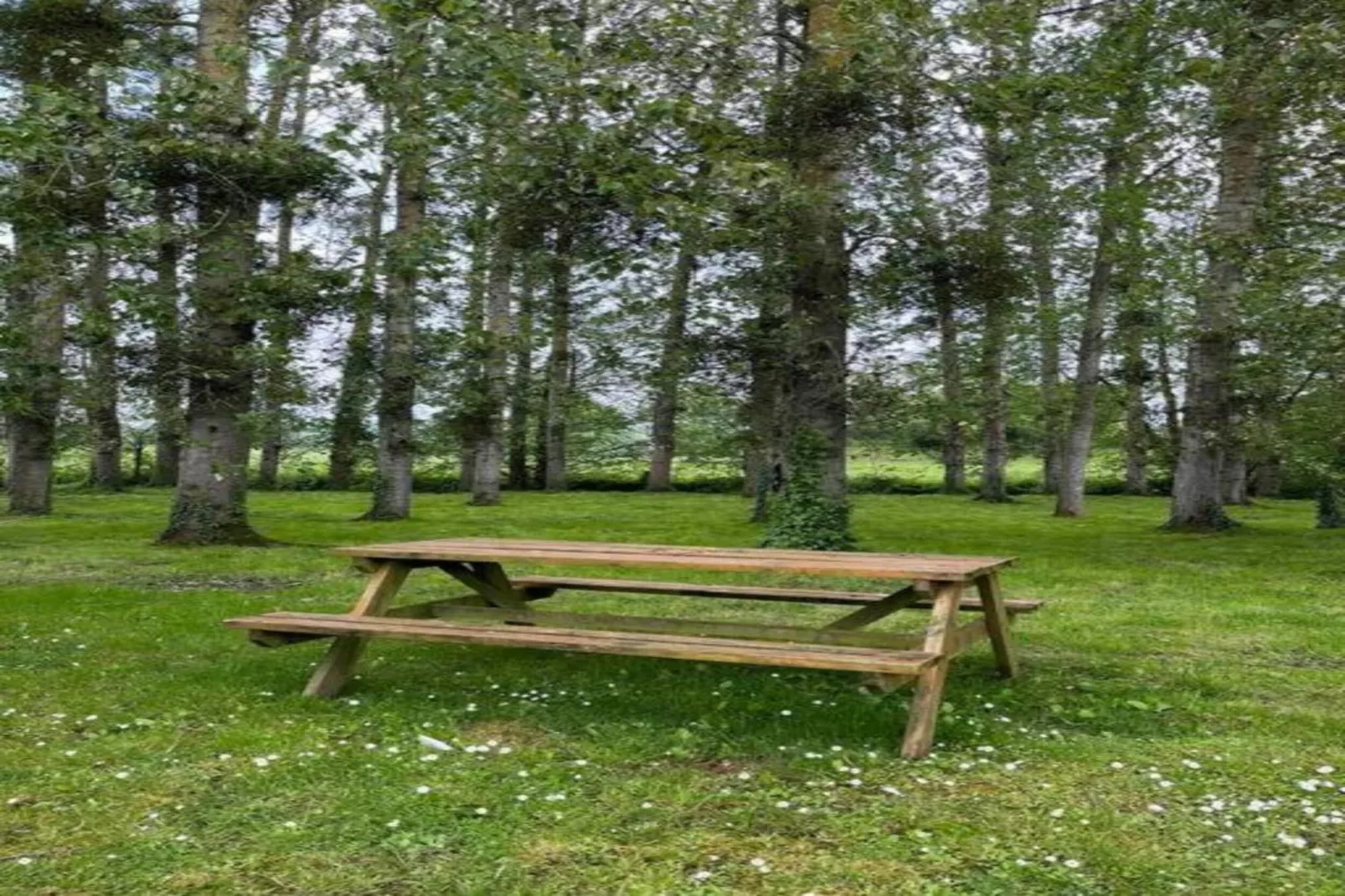 Mobil-home Grenterie-Areas within 20km in summer