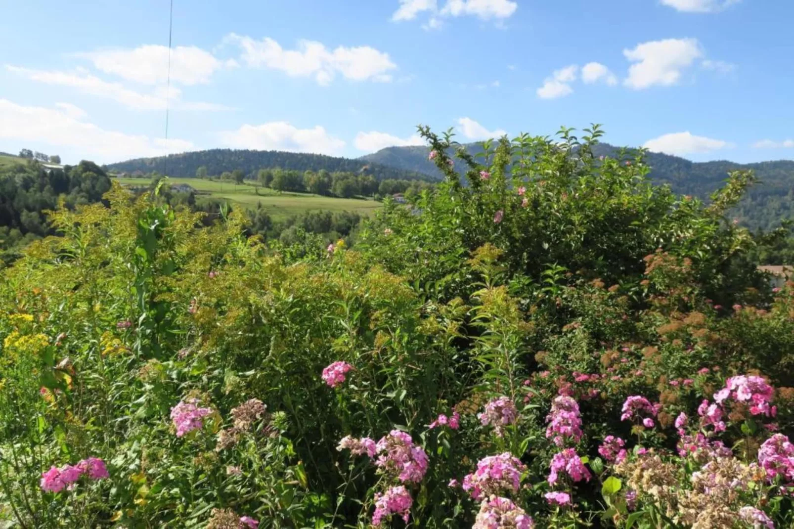 La Coccinelle-Areas within 20km in summer
