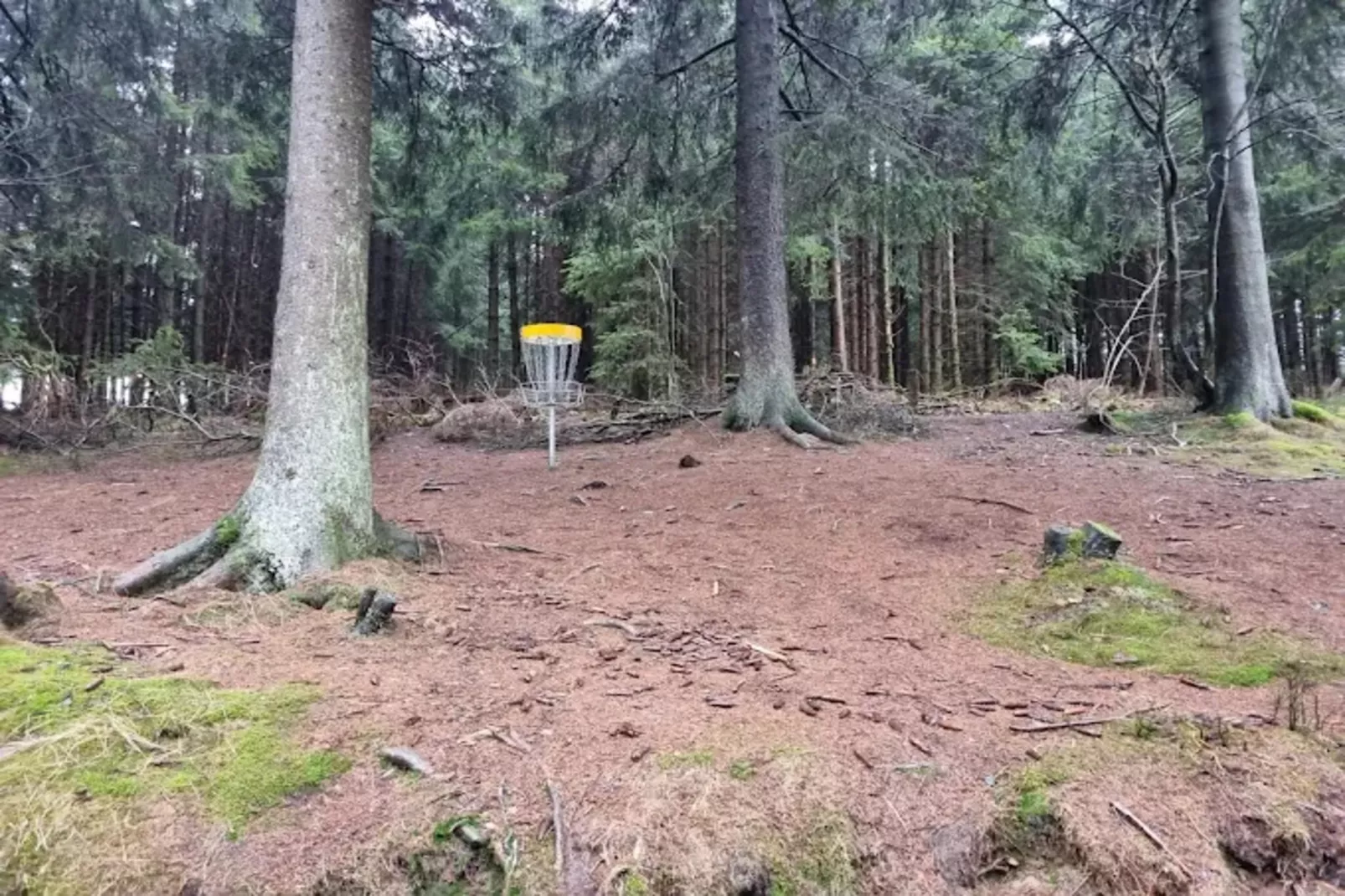 Appartement Lenneblick 2 - Altastenberg-Areas within 1km in summer