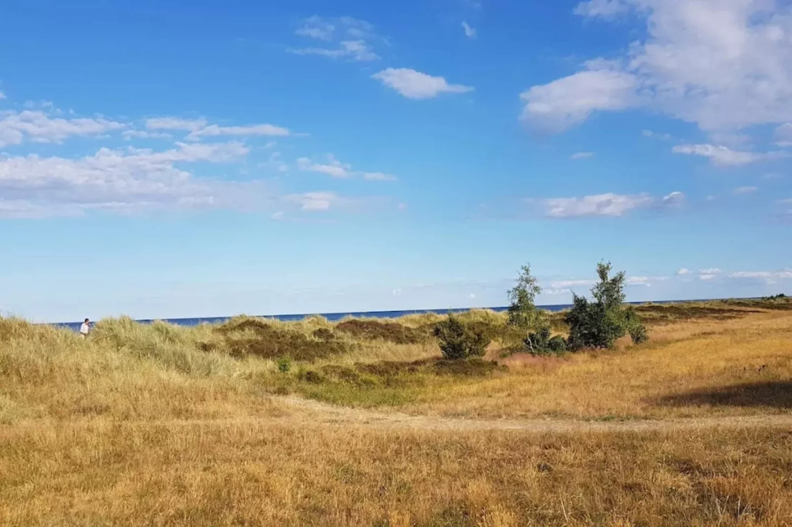 5 star holiday home in Væggerløse-By Traum-Untagged