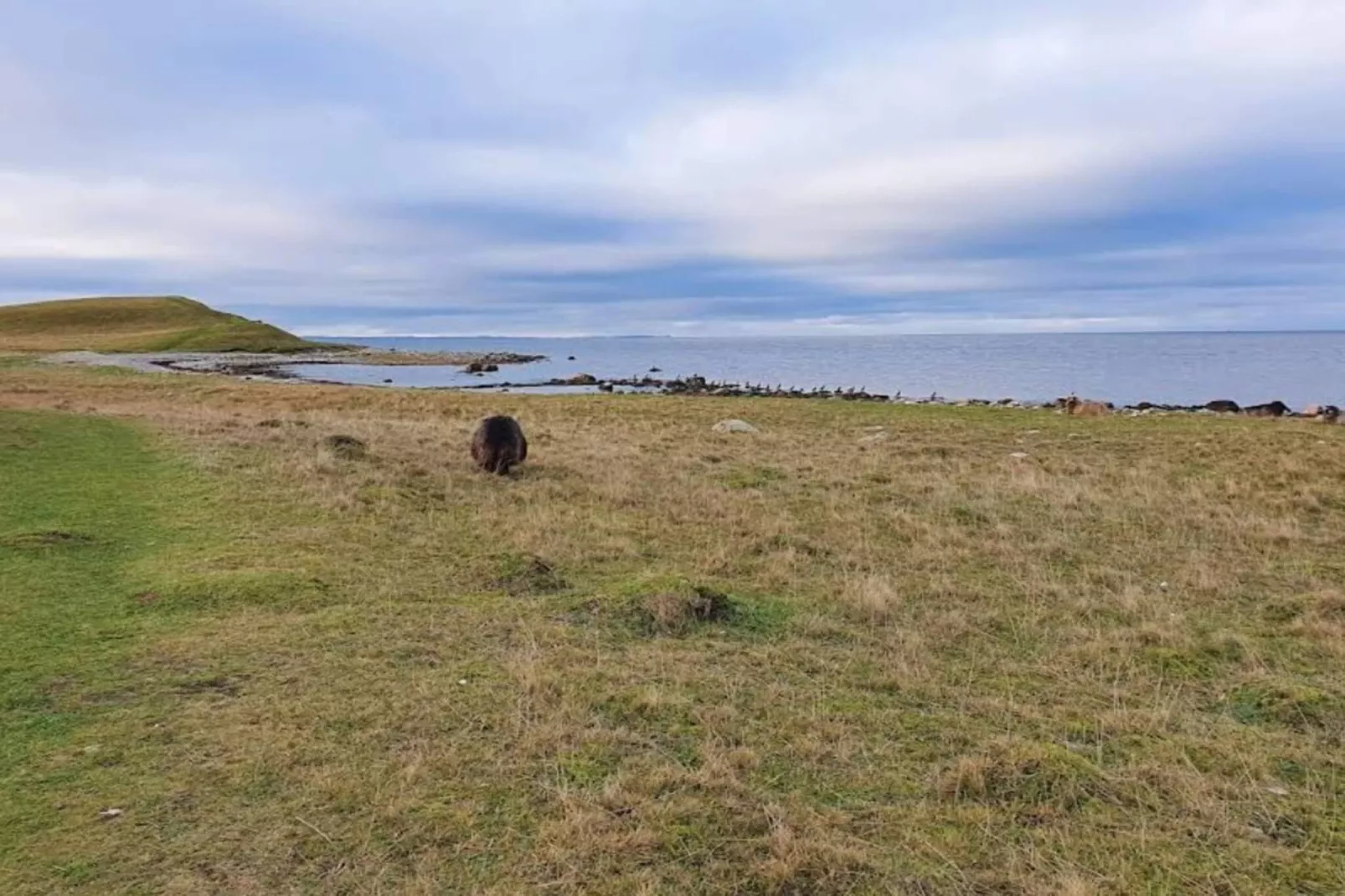 4 person holiday home in Grevinge-By Traum-Untagged