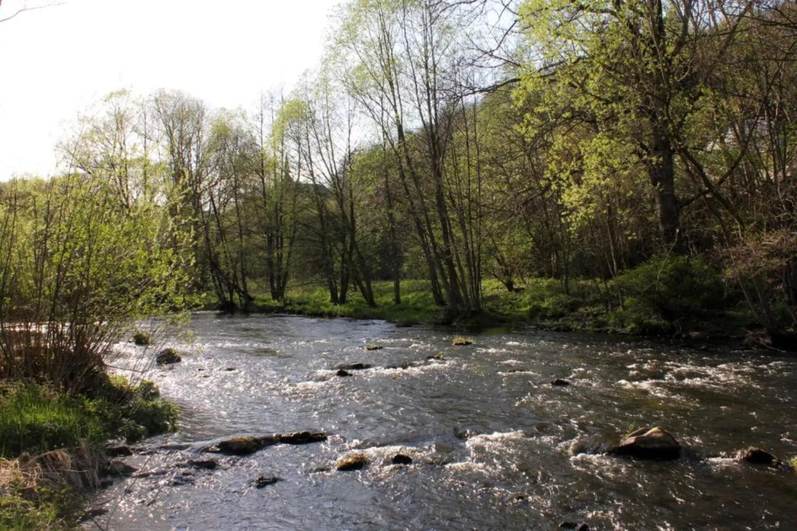 Ferienwohnung Thale-Areas within 5km in summer