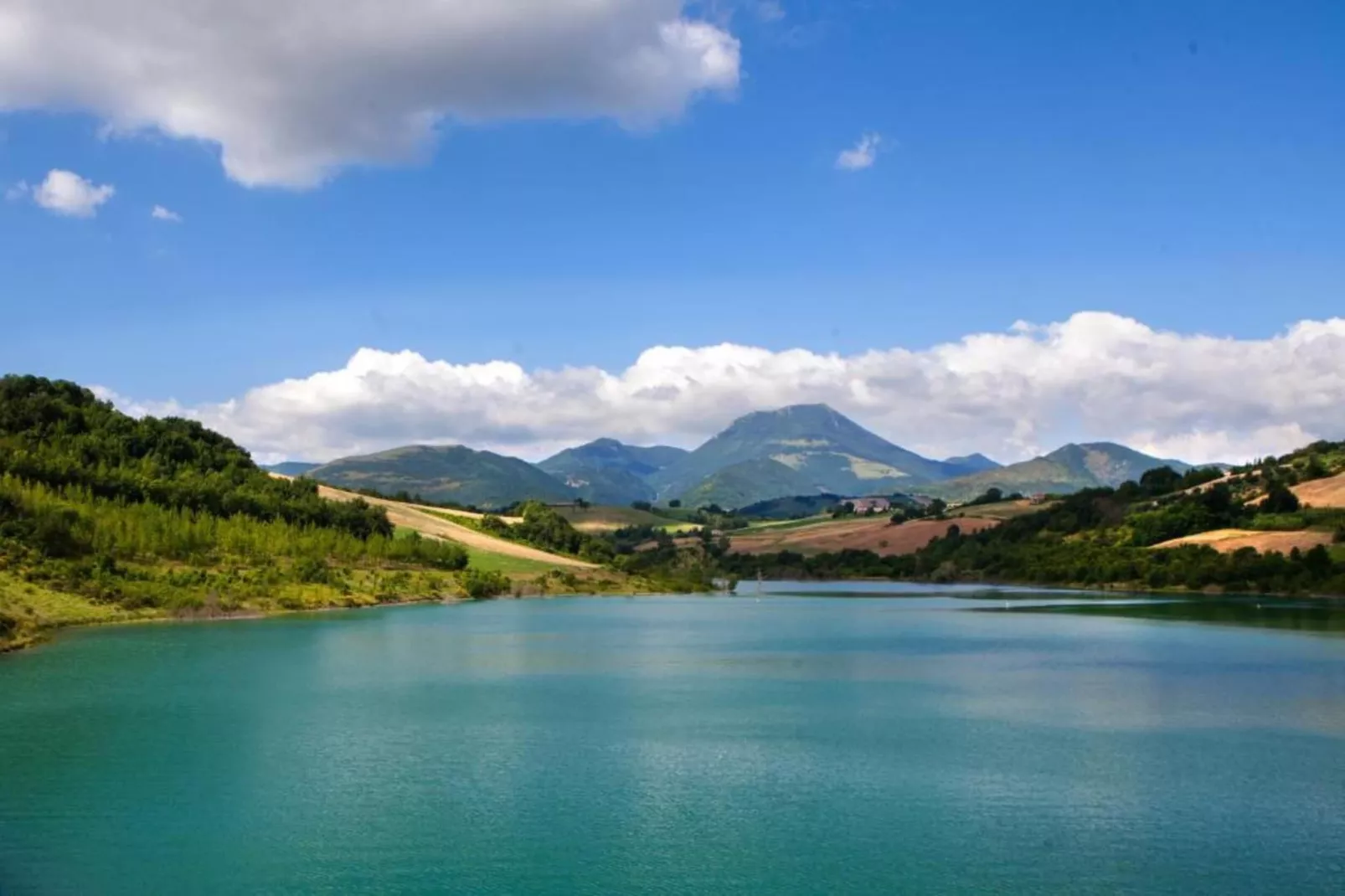 Binnella 10-Areas within 20km in summer