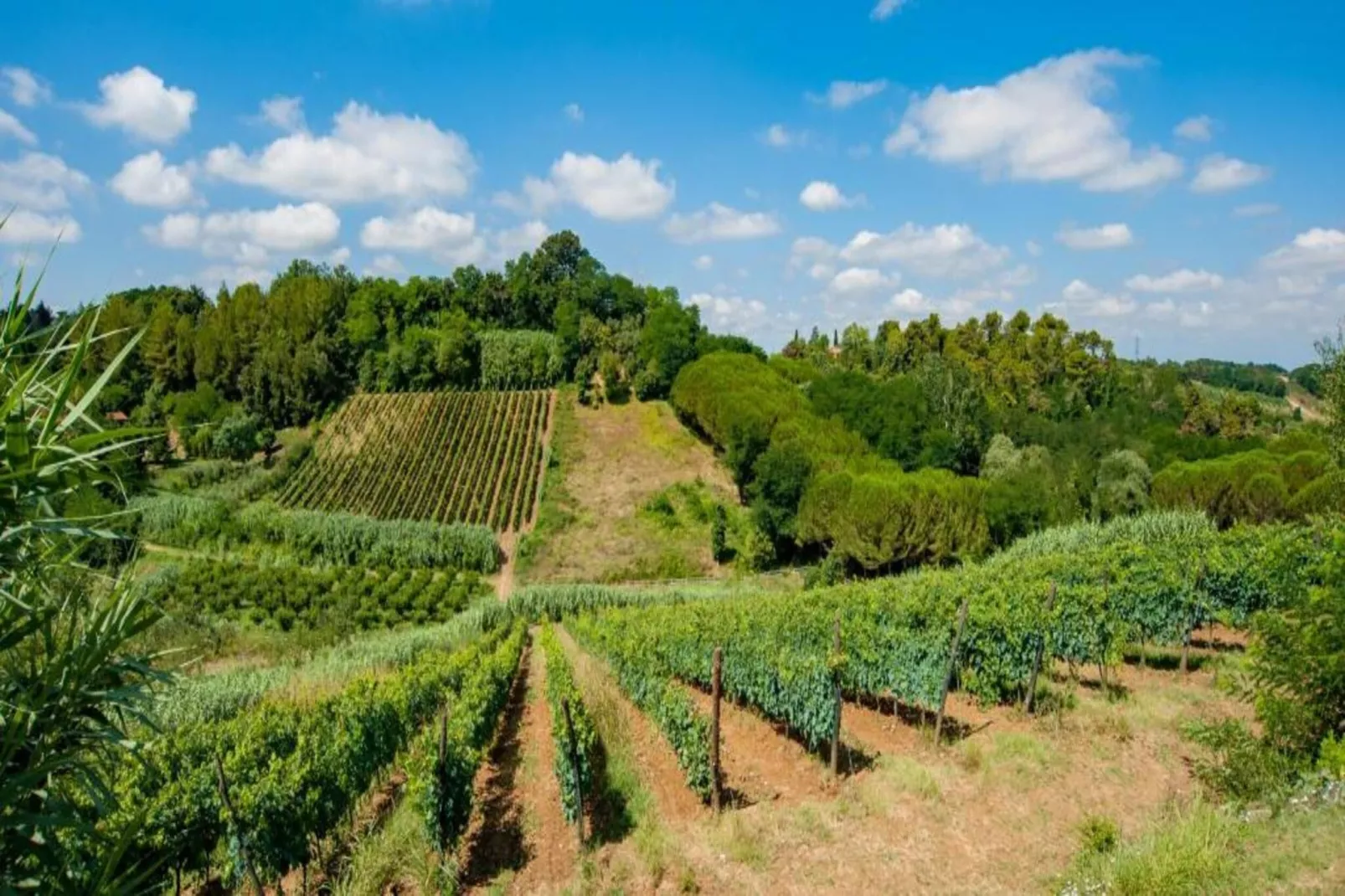 Villa Giuditta Otto-Areas within 5km in summer