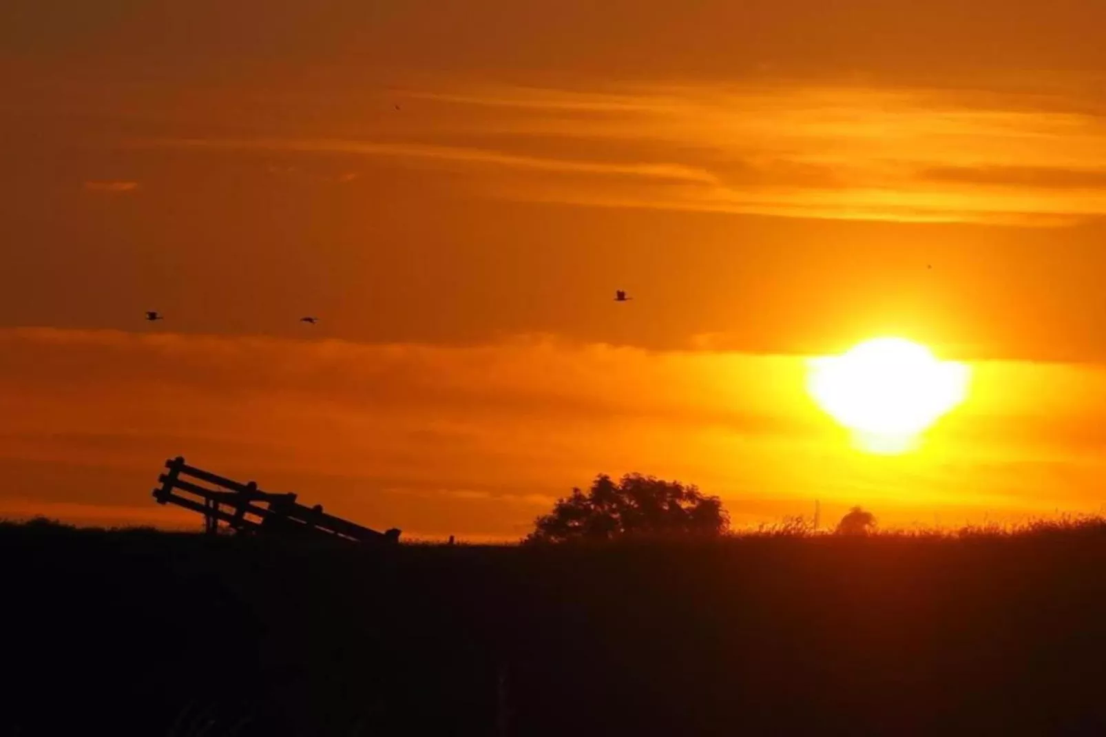 Standaard 224 - Gebiete Sommer 20 km