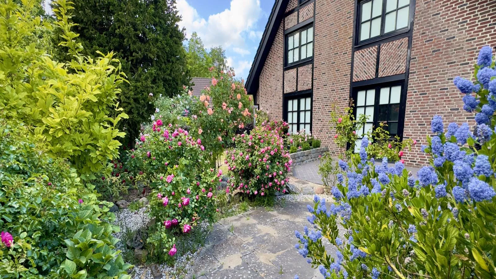 Rosegarden-Exterior in summer