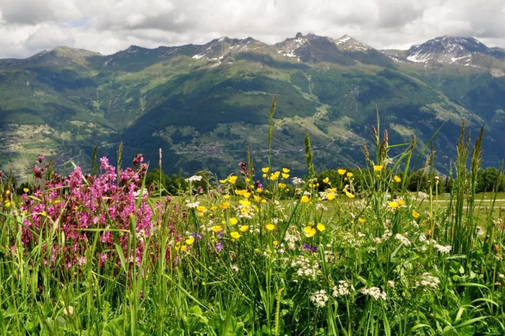 Magrappé M 231 - SKI LIFT apartment 6 pers-Areas summer 20km