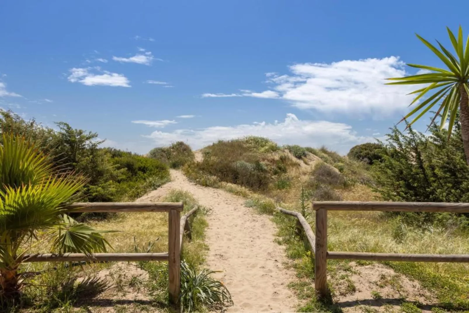 Alvarito Playa-Areas within 5km in summer