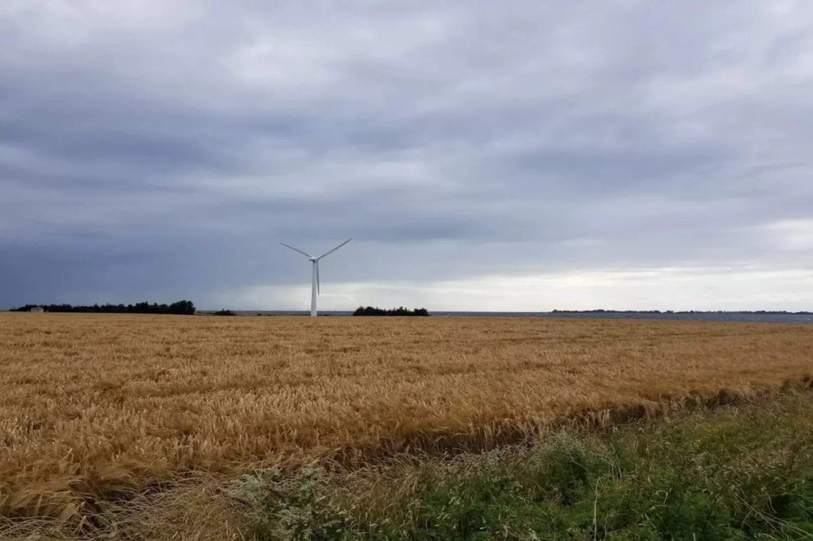 5 Sterne Ferienhaus in Væggerløse-Nicht zugeordnet