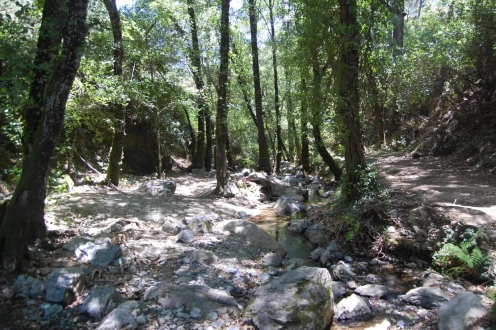 The Rabbit-Areas within 20km in summer