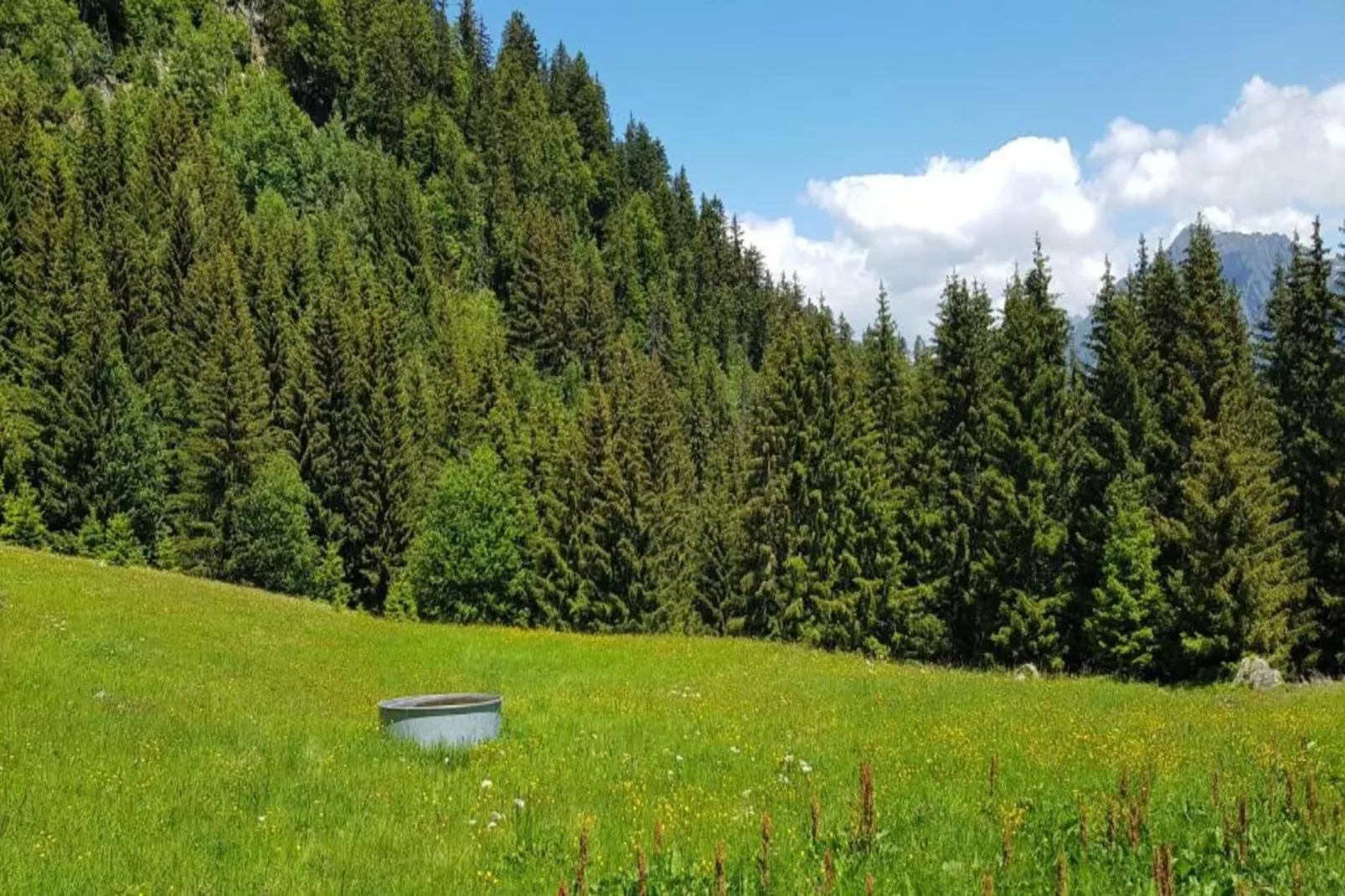 T. DU MOREL A N°25 - 2P5-Areas within 5km in summer