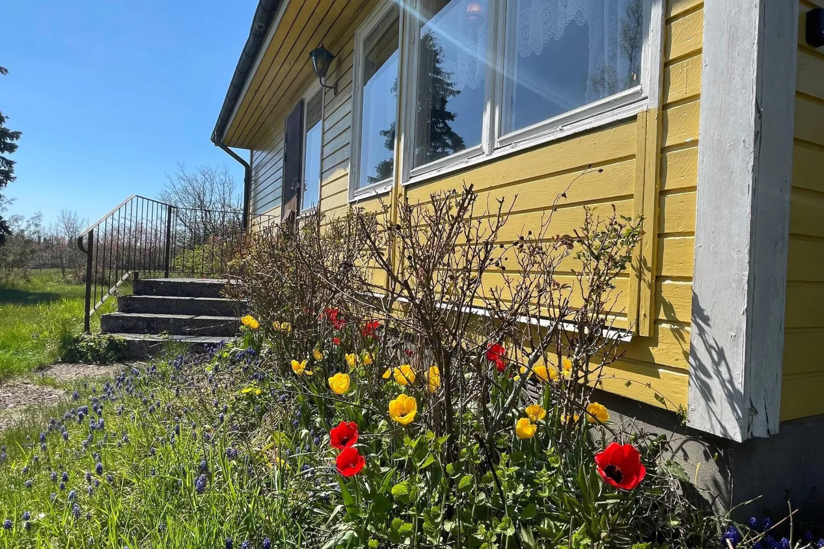 6 person holiday home in BORGHOLM-By Traum-Outdoor