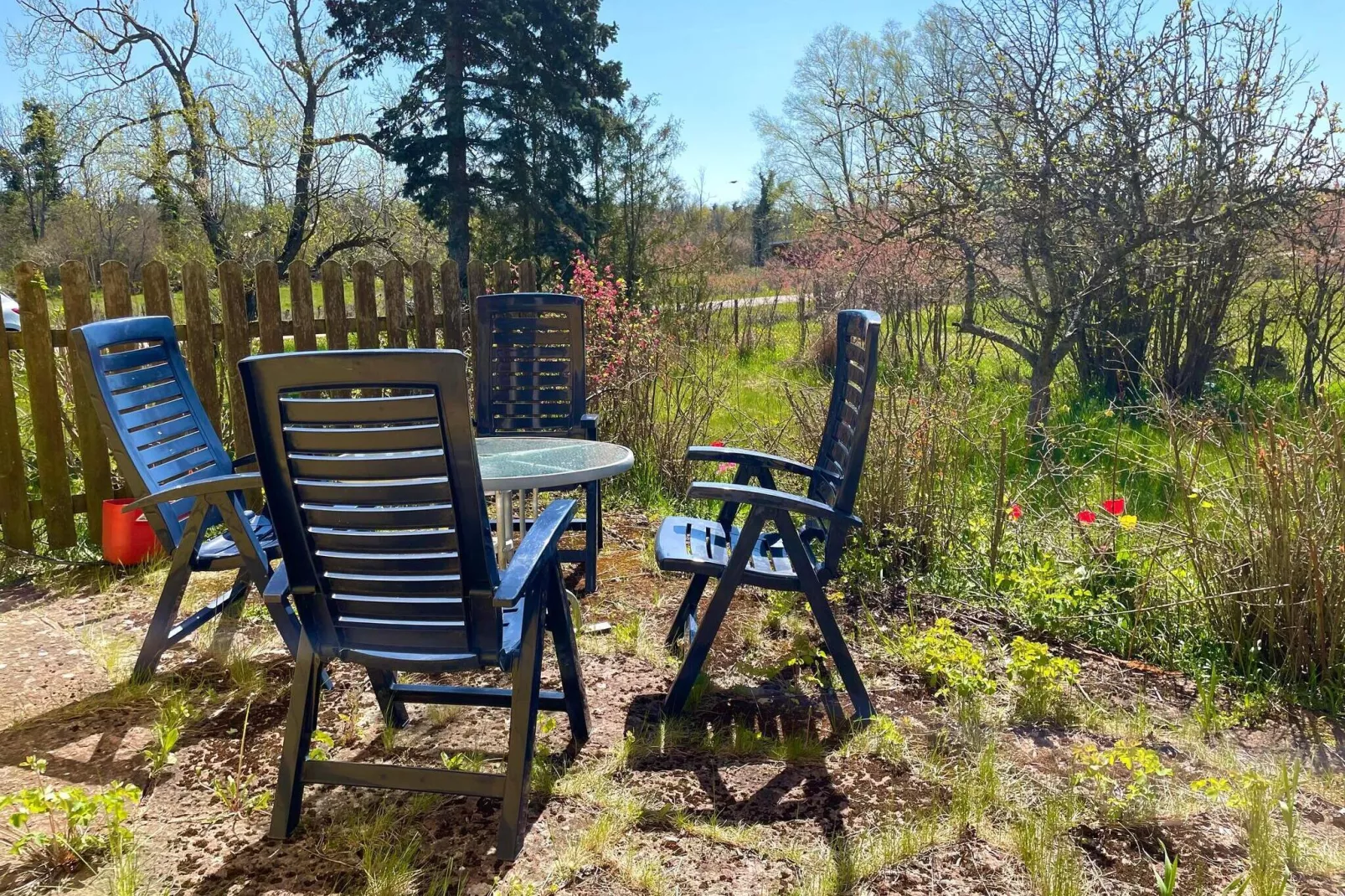 6 person holiday home in BORGHOLM-By Traum-Outdoor