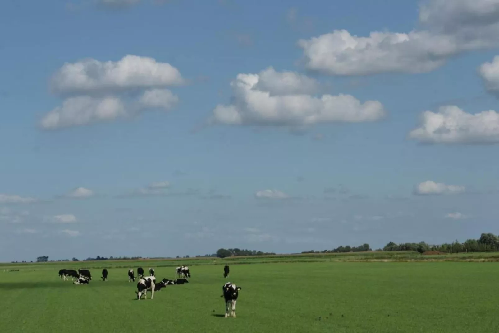 B&B de Gouwe Tijd-Gebiete Sommer 20 km