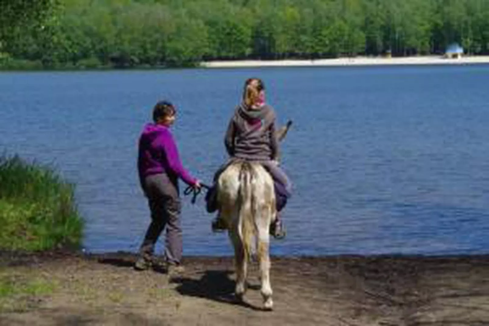 Dreamer 49-Areas within 20km in summer