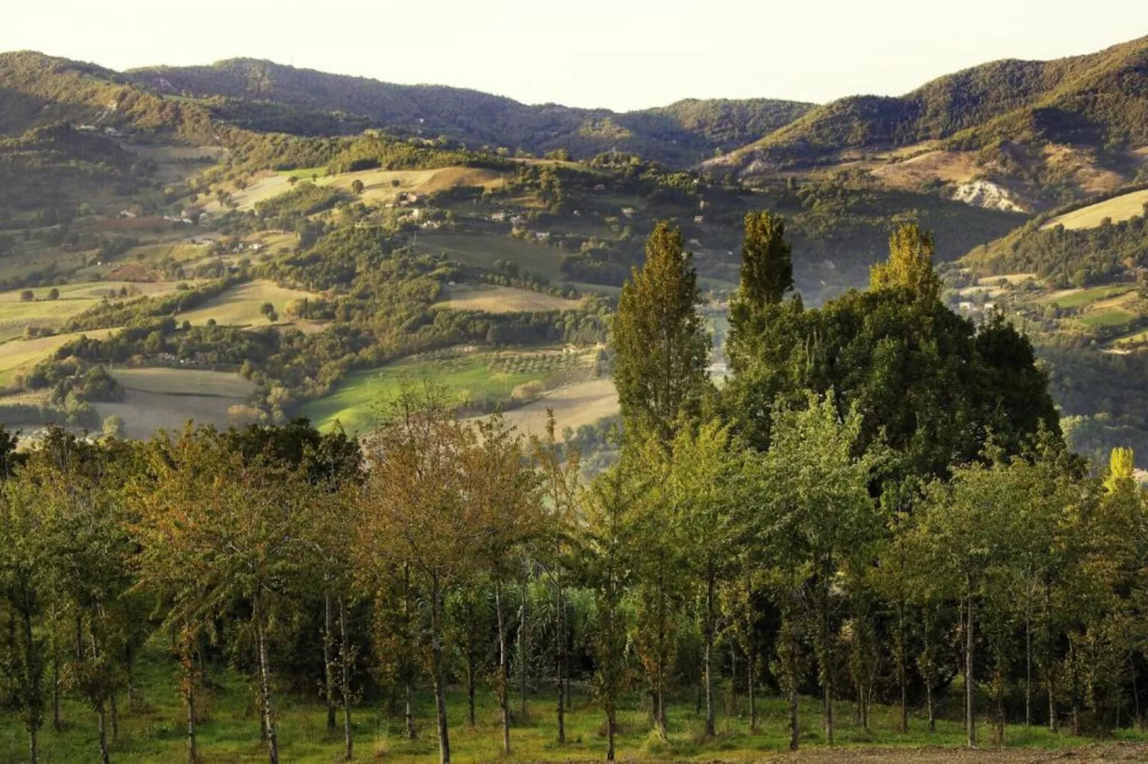Villa Paradiso 25 persone-Areas within 20km in summer