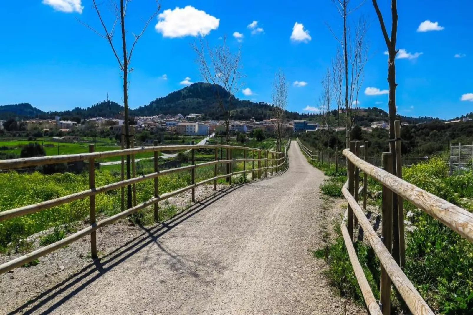 Pleta 8 PAX-Areas within 5km in summer
