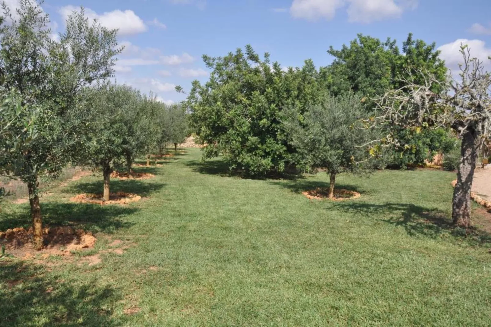Can Bielo-Areas within 5km in summer