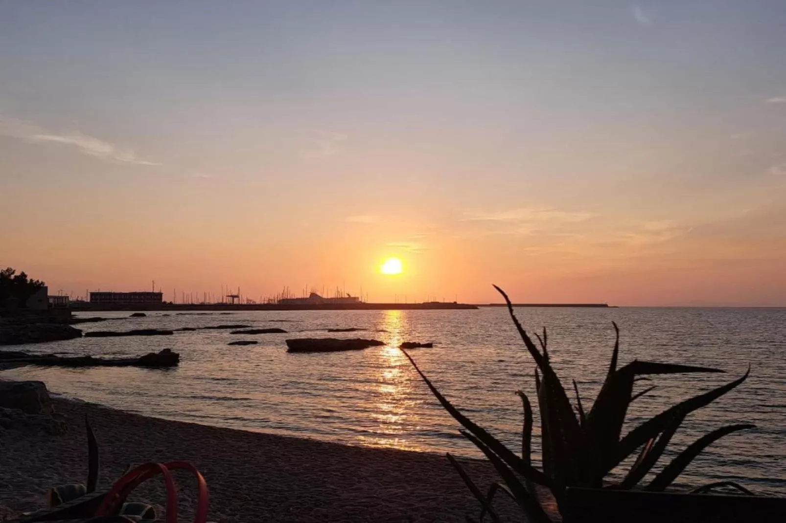 IL DELFINO-Areas within 20km in summer