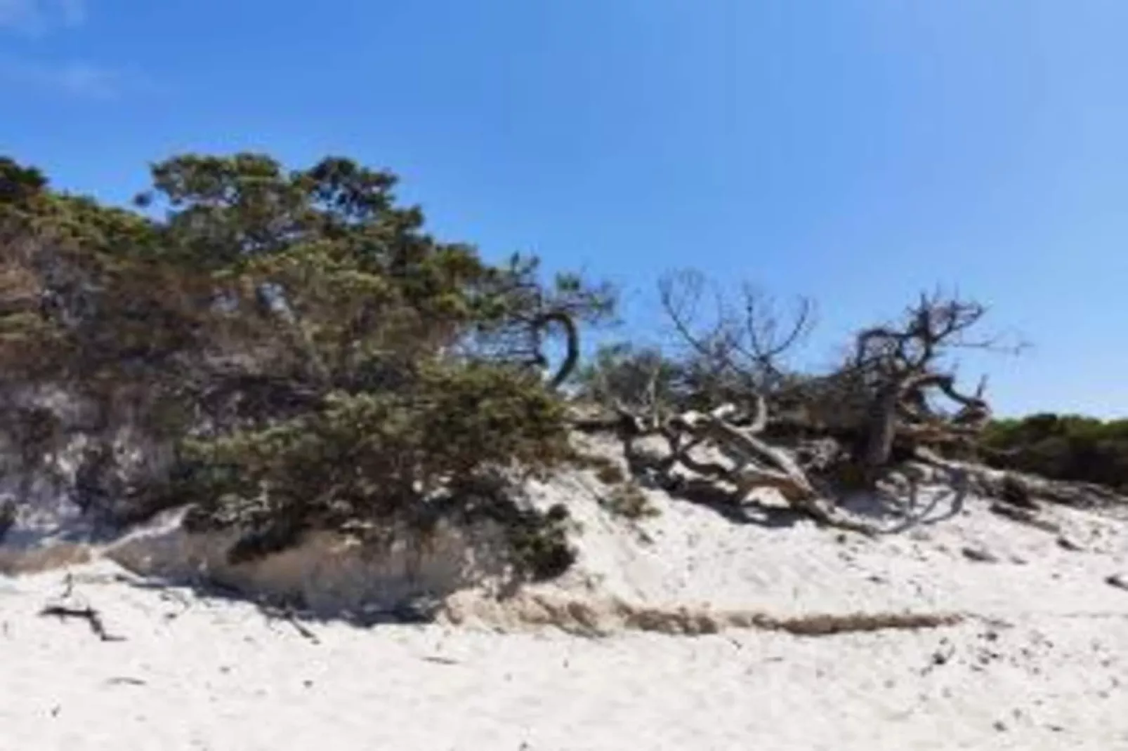 CASA MERISI-Areas within 20km in summer