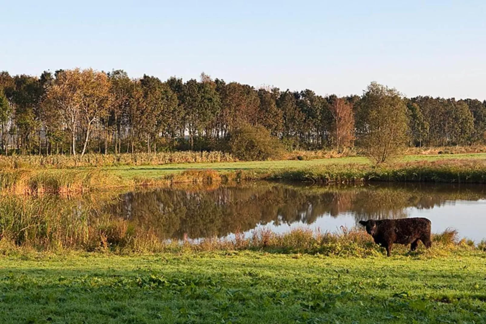 Delft 1A-Areas within 20km in summer