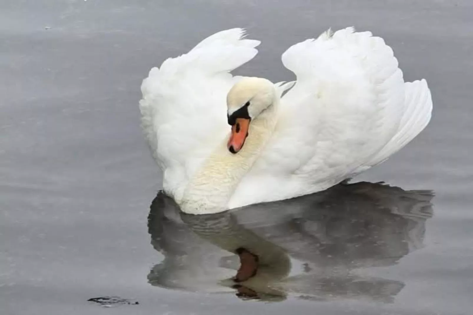 Delft 4A-Areas within 20km in summer