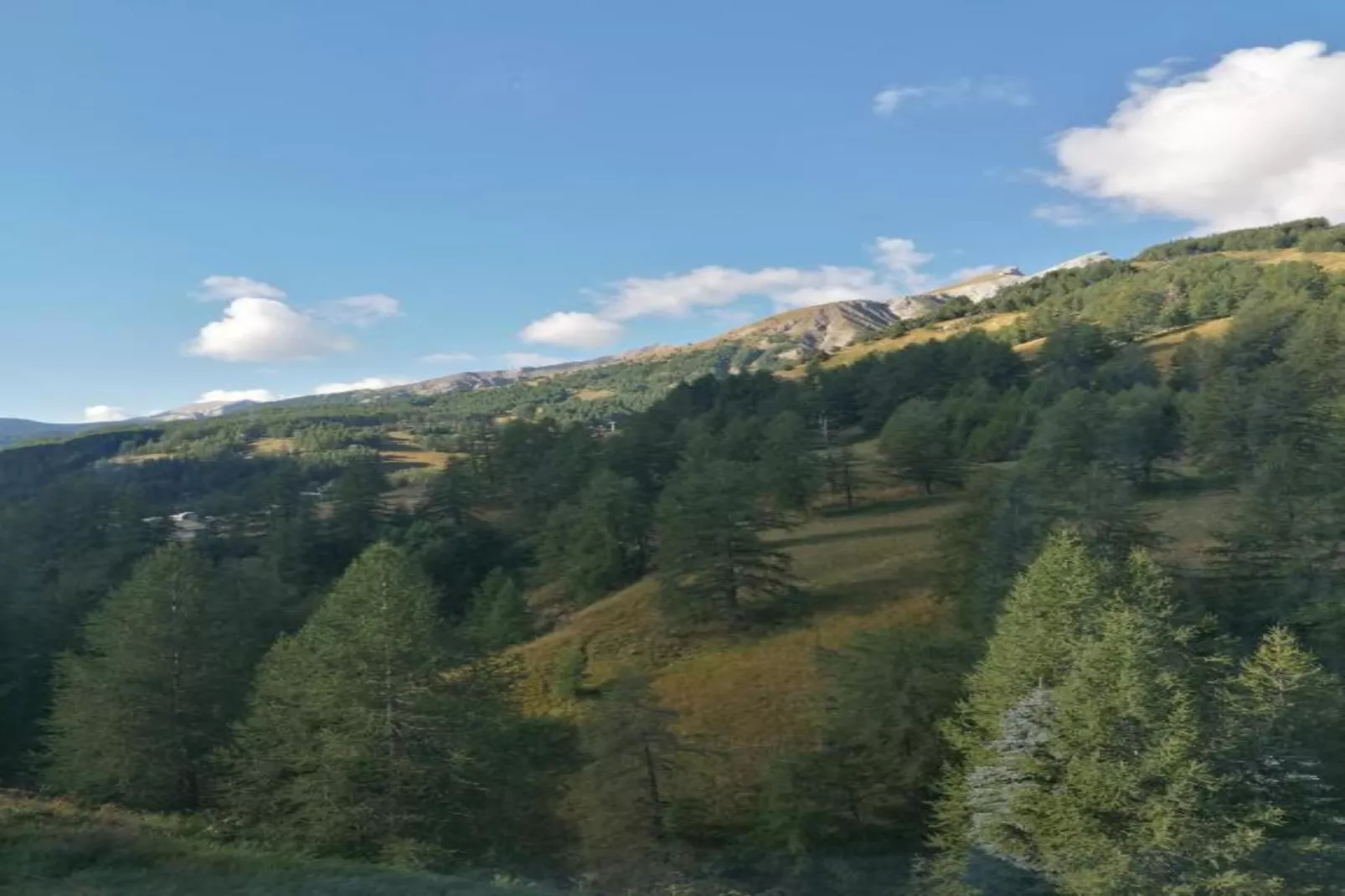Les Marmottes N°14 - ST4-Areas within 5km in summer