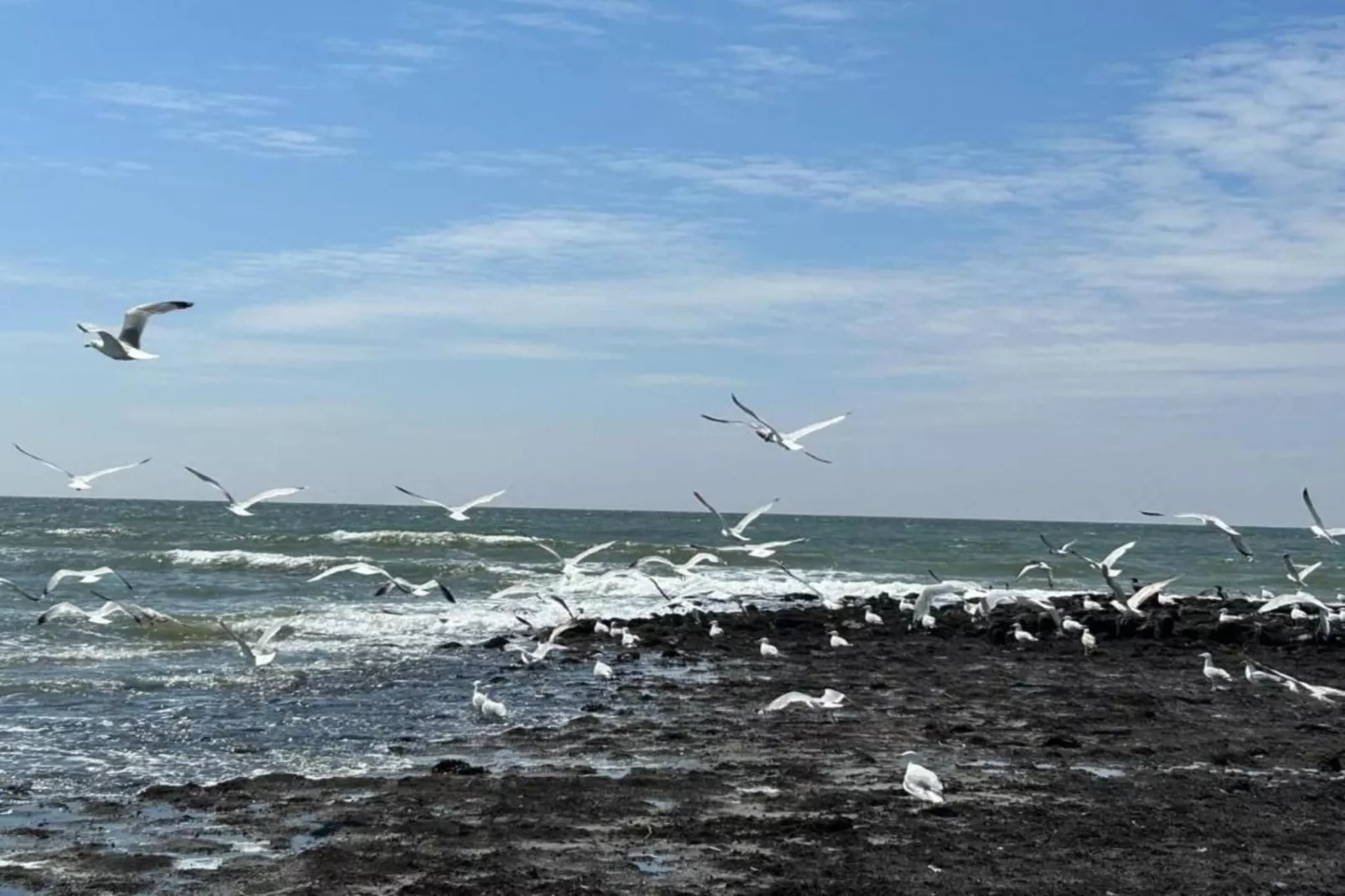 Anzelhoef Apartment Oost-Gebiete Sommer 5 km