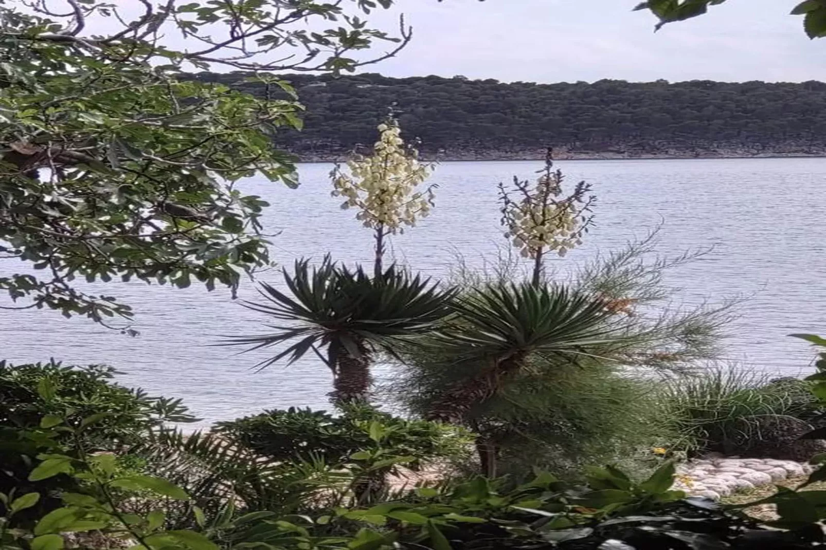 Blanka A1 - Shared Jacuzzi, Magical Garden-Areas within 20km in summer