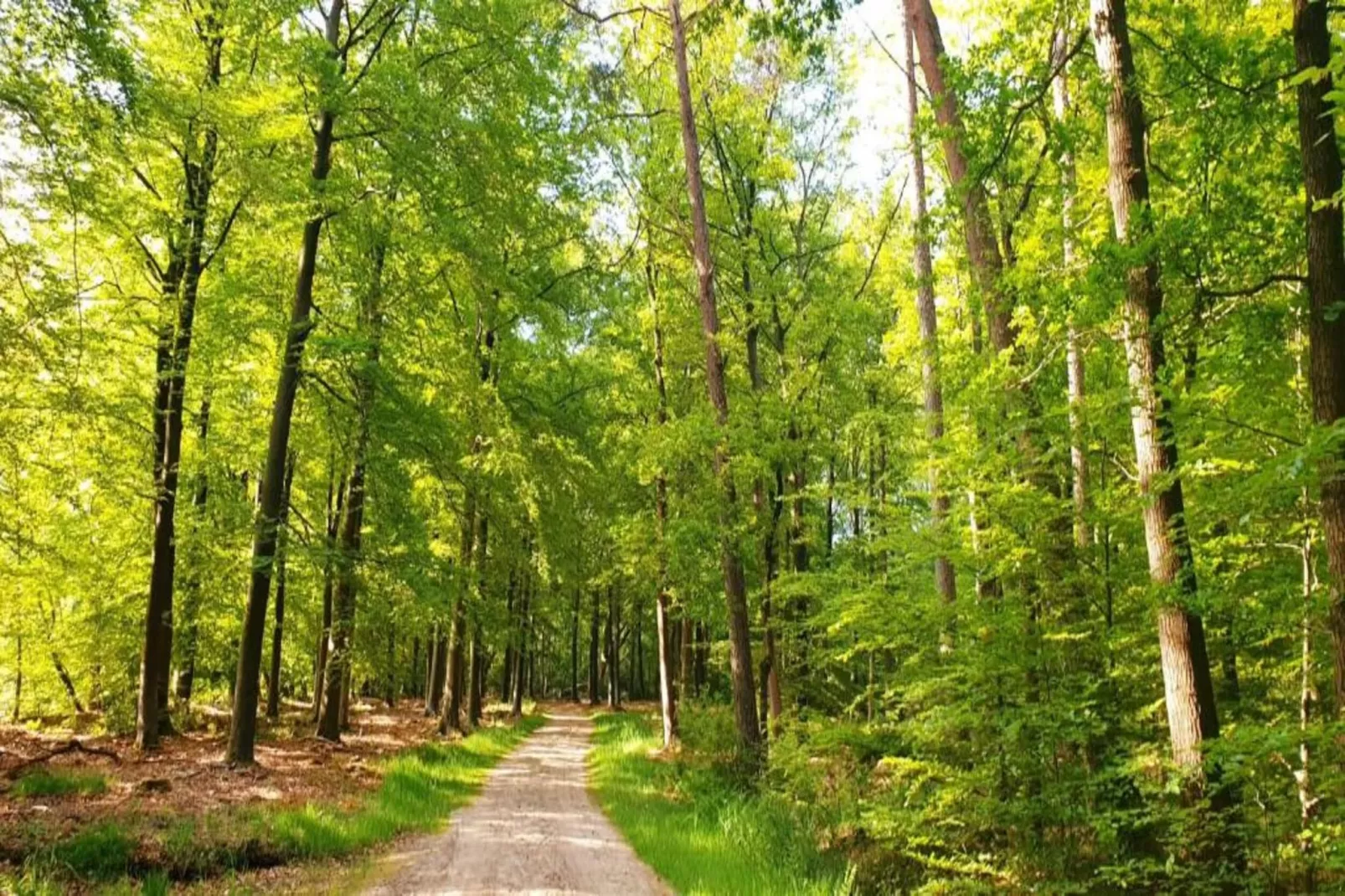 Heivlinder 4p-Gebiete Sommer 5 km