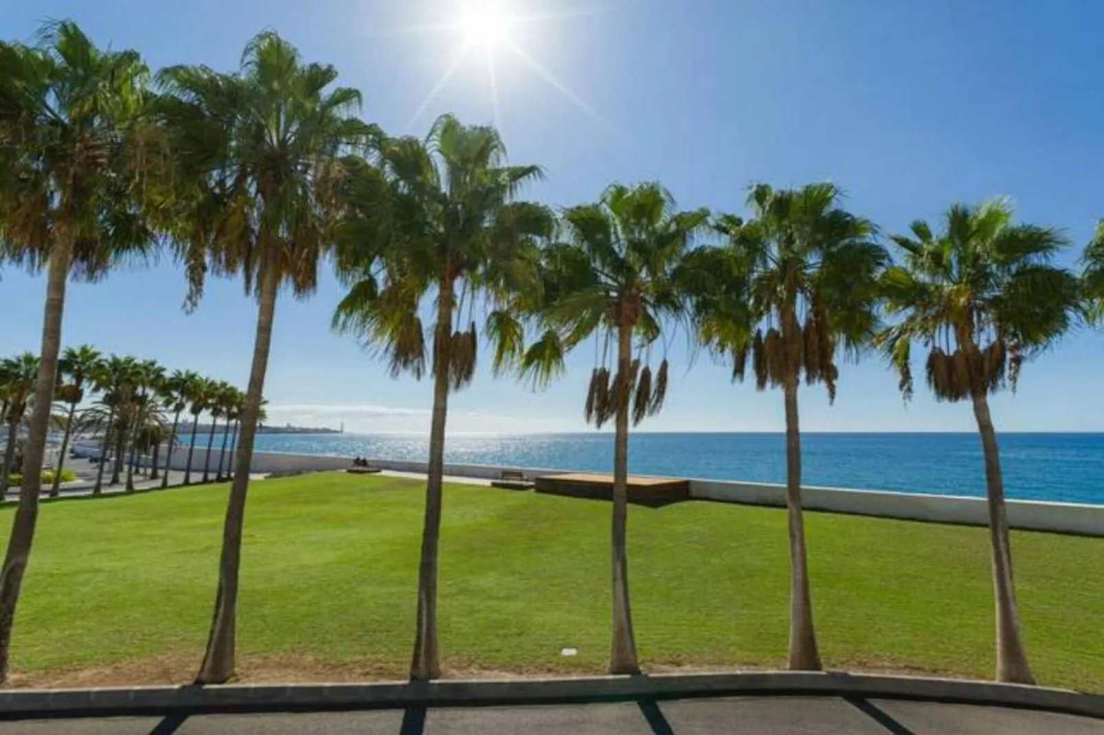 Tabaibas 14-Areas within 20km in summer