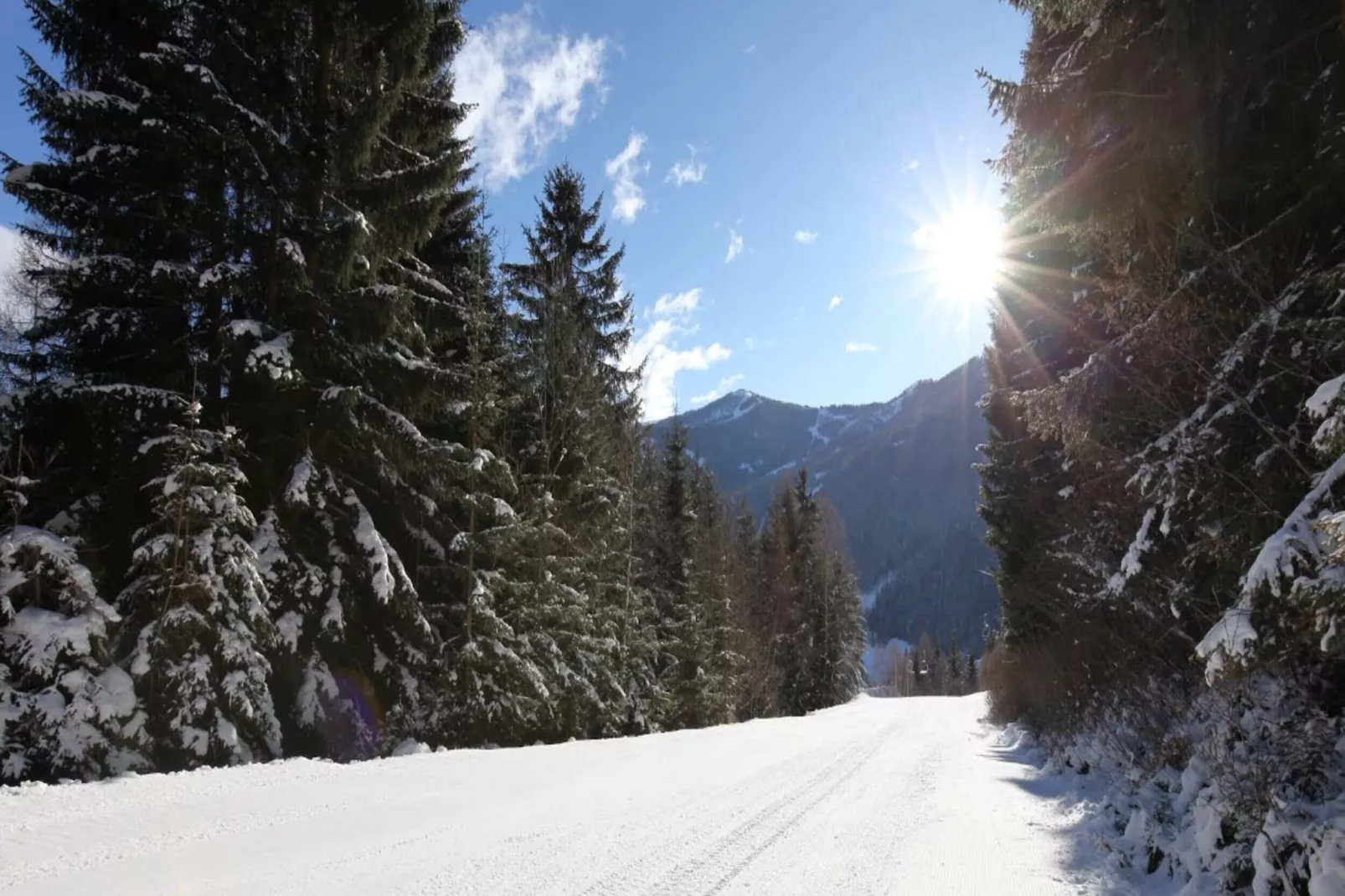 Chalet Ski In - Top 1-Area within 1km in winter