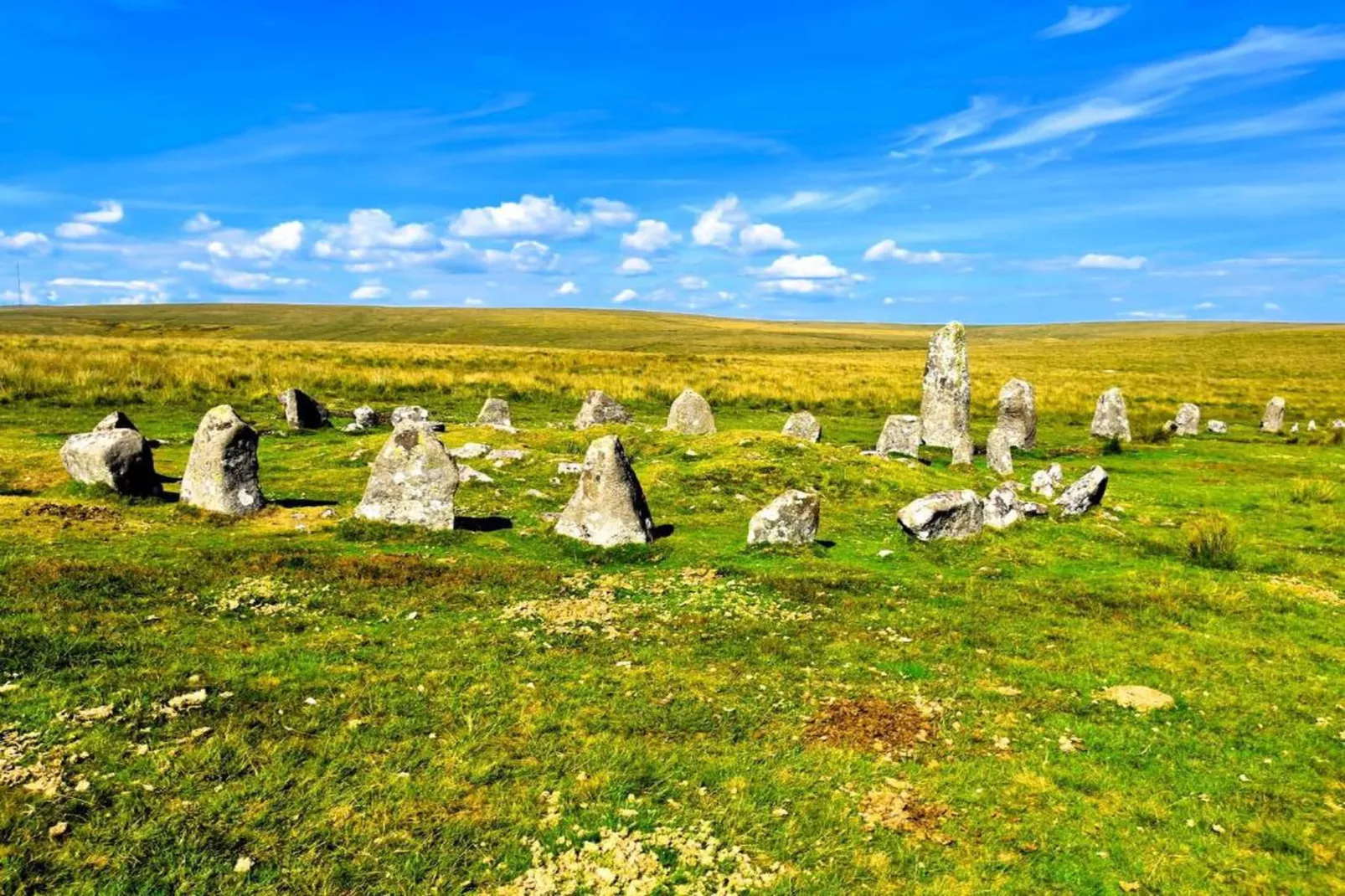 Little Dunley - Hazel-Gebiete Sommer 20 km