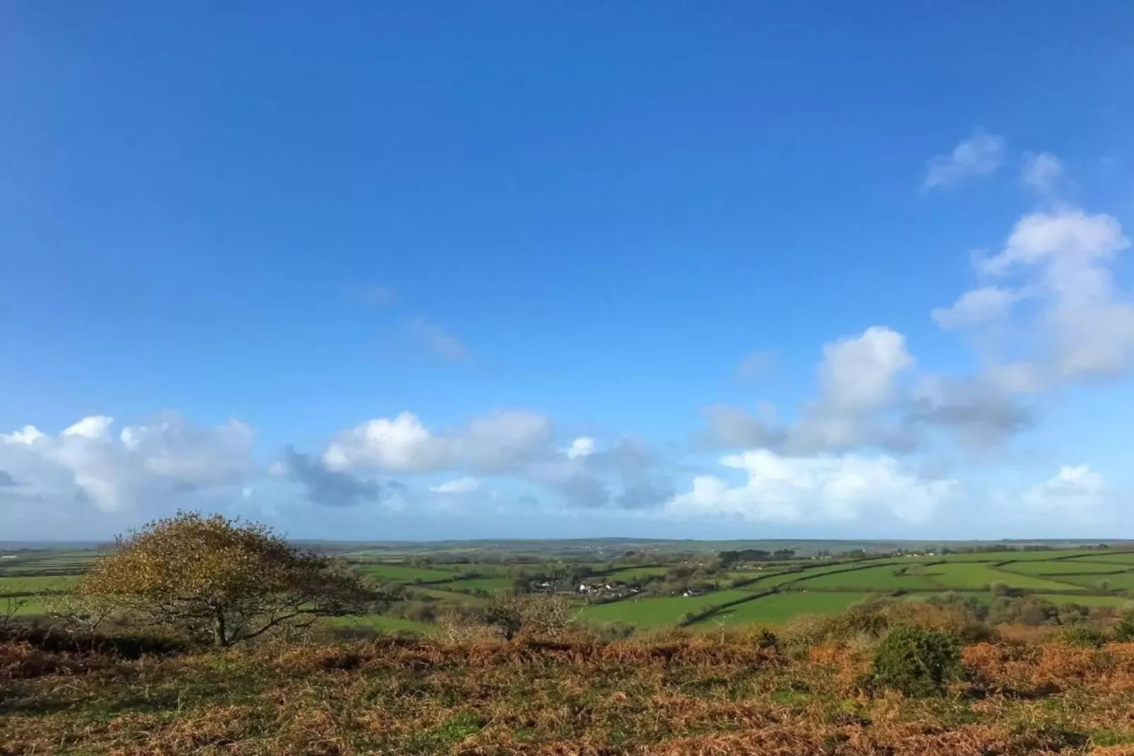 Jubilee Barn Cottage at Bodmin Moor-Areas within 5km in summer