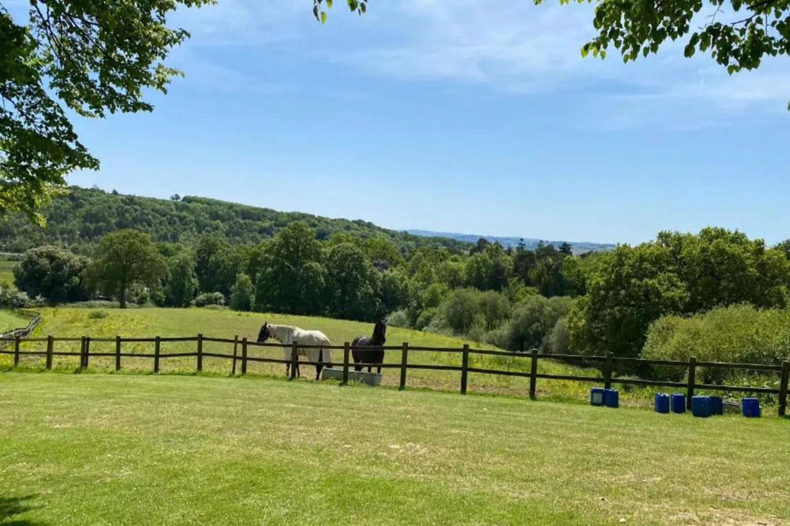 Wakehurst Luxury Dome-Areas within 5km in summer