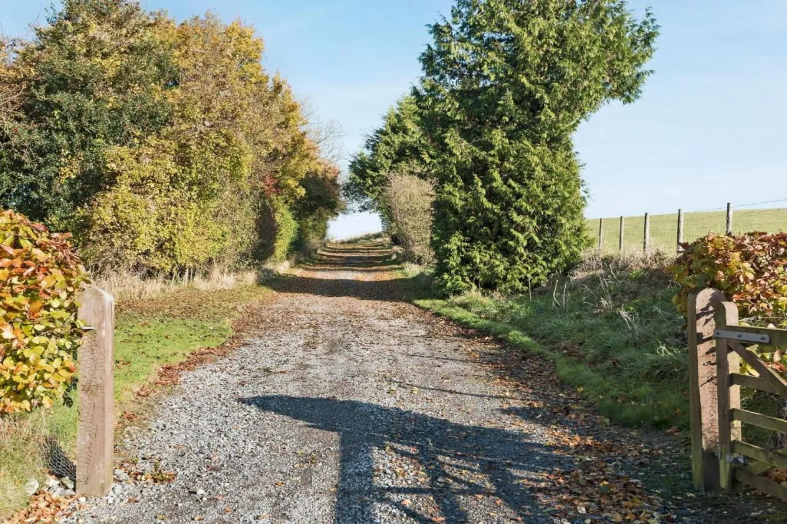 South Downs Lodge-Areas within 20km in summer