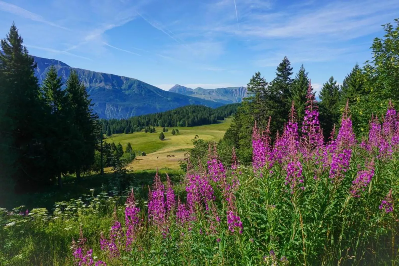 V du Bachat Arolles A n°26 - 2P4-Areas within 1km in summer