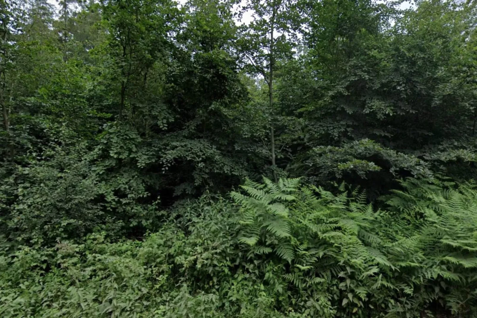 Maison de vacances pour 6 a Grenaa