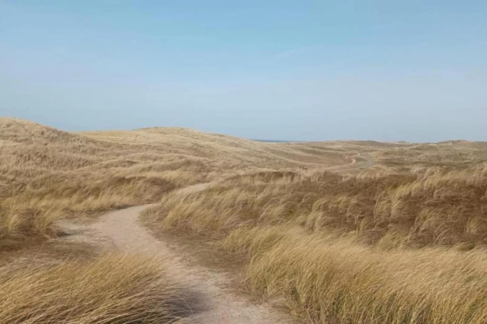 Vakantiepark Duynzicht 3-Zones été à 20 km