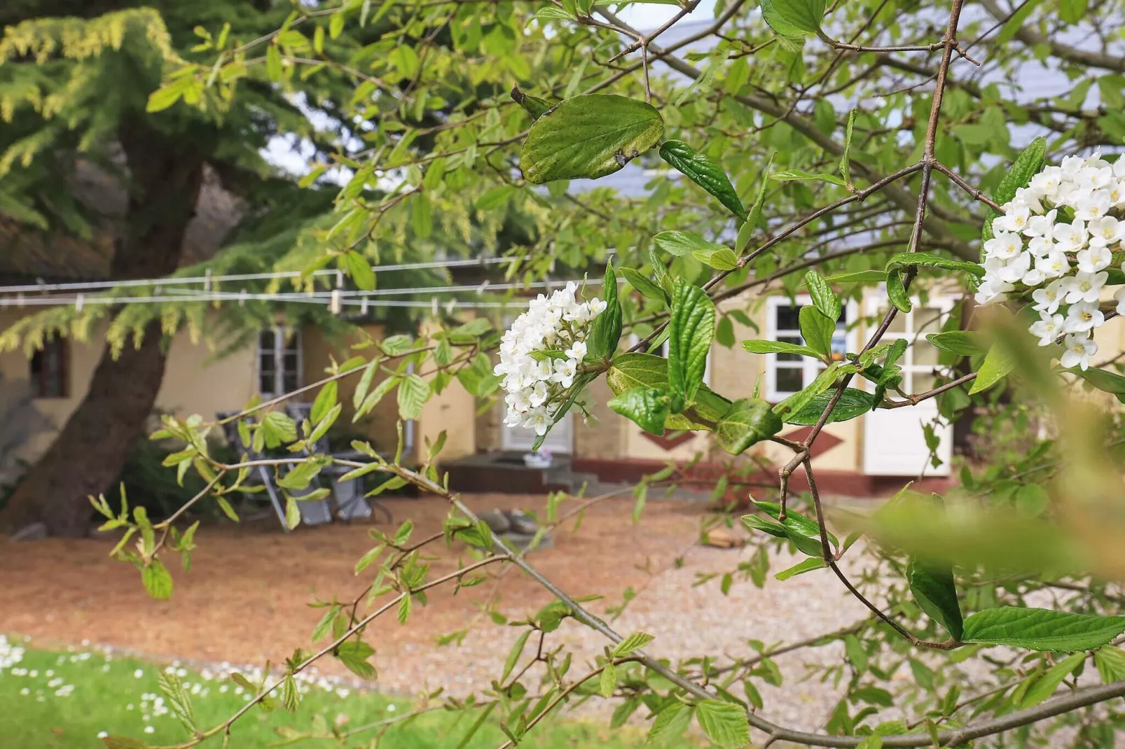 6-Personen-Haus in Ærøskøbing-By-Aussicht