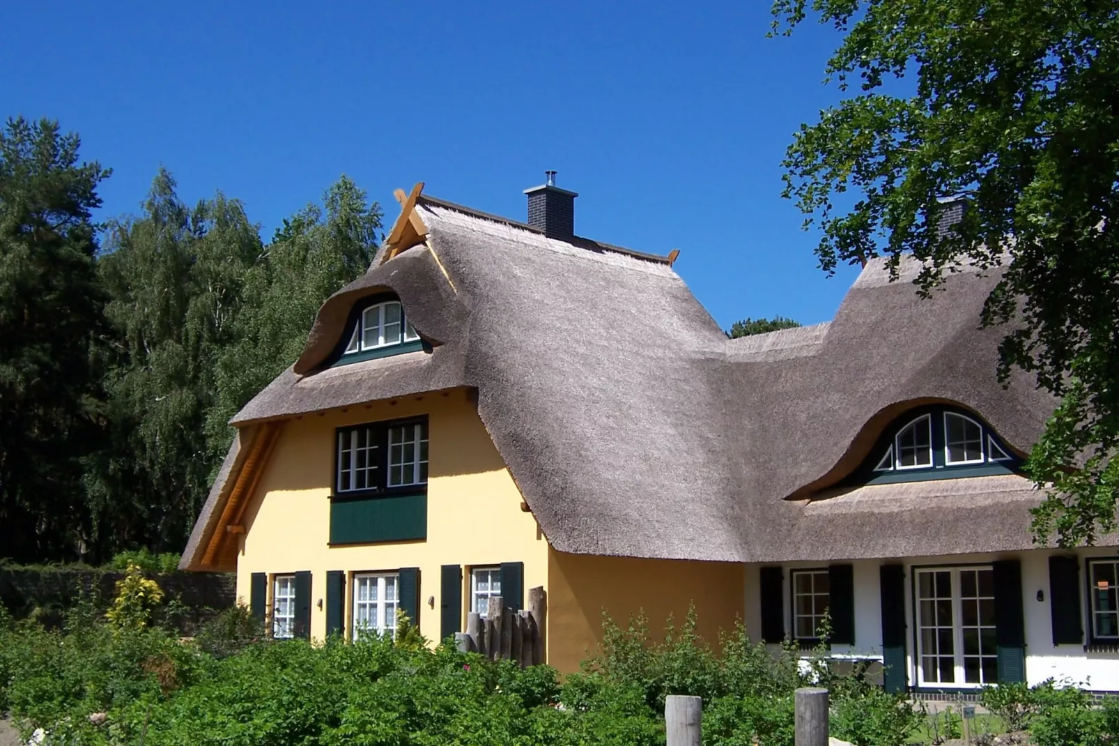 Ferienhaus Küstenwald groß - Strandhotel Fischland
