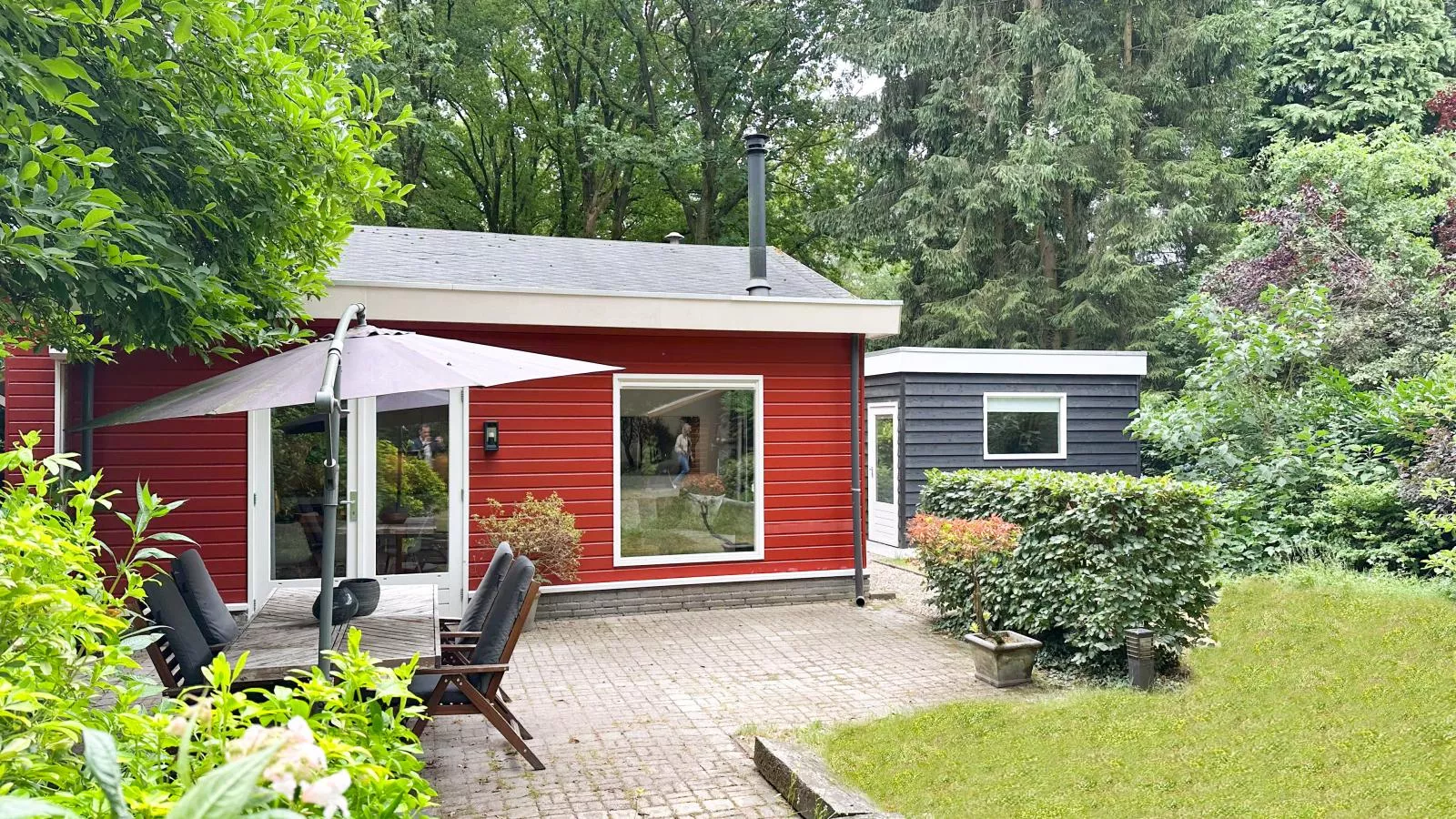De Paradijsvogel