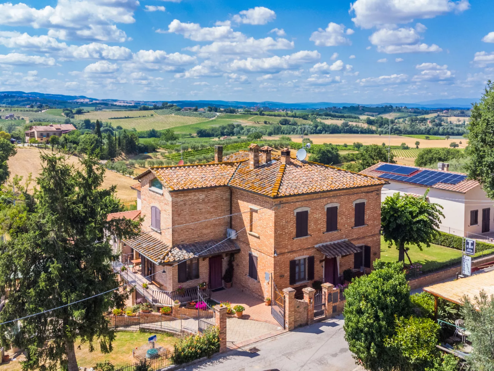 Le rondini