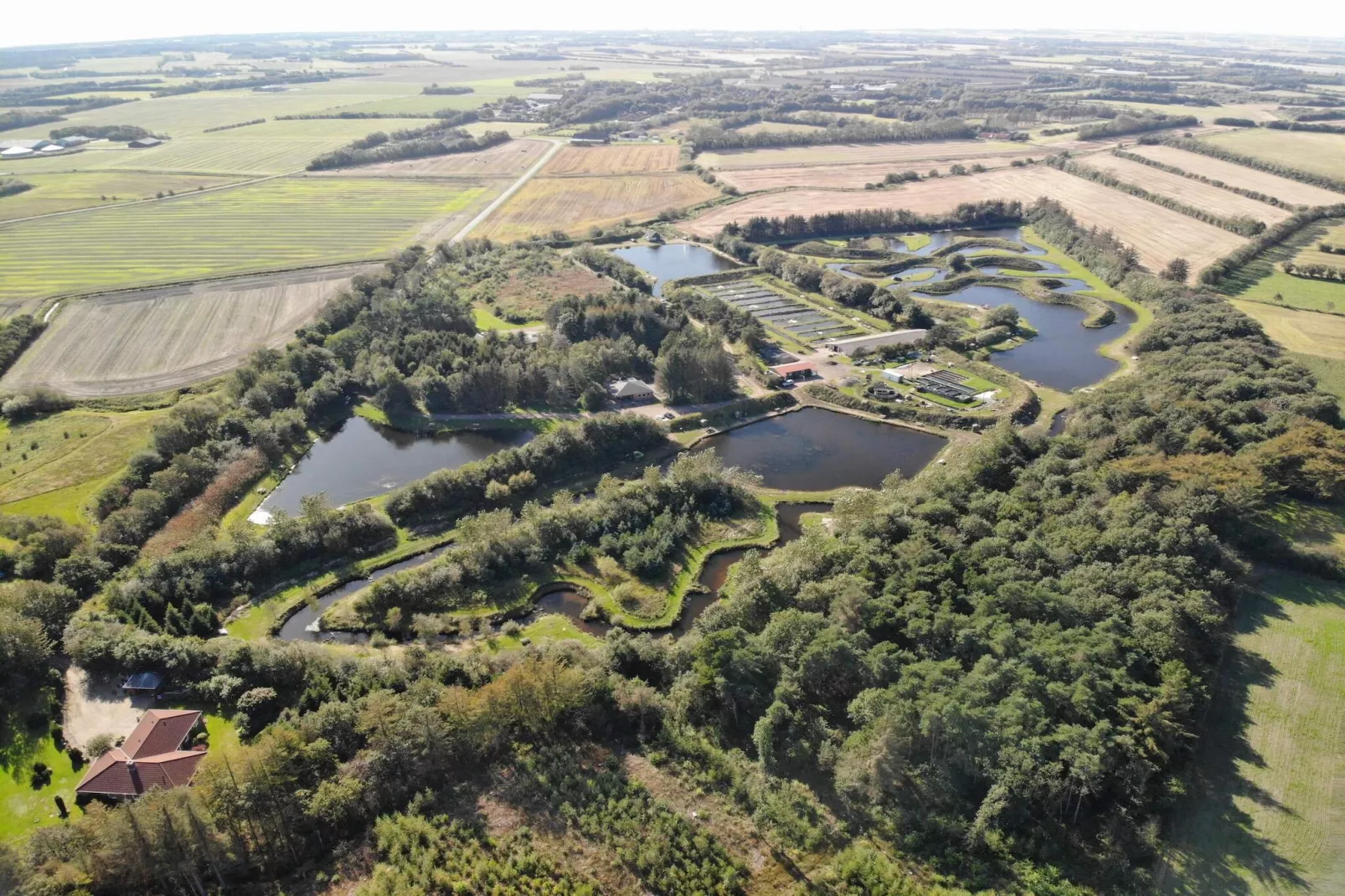 Maison de vacances pour 6 a Ringkøbing-Non tagué