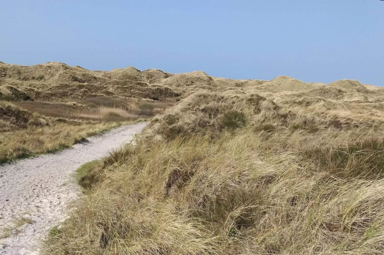 8 person holiday home in Blåvand-Untagged